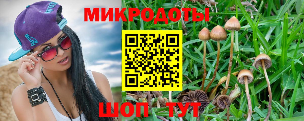 Псилоцибиновые грибы мицелий Смоленск